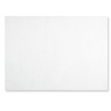 MANTEL NEWTEX 30x40 CM BLANCO CAJA 500 UND