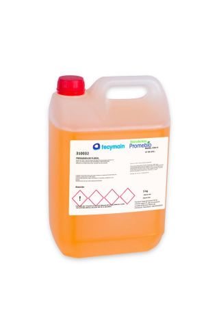 FREGASUELOS CONC. KIWI BESS 5L